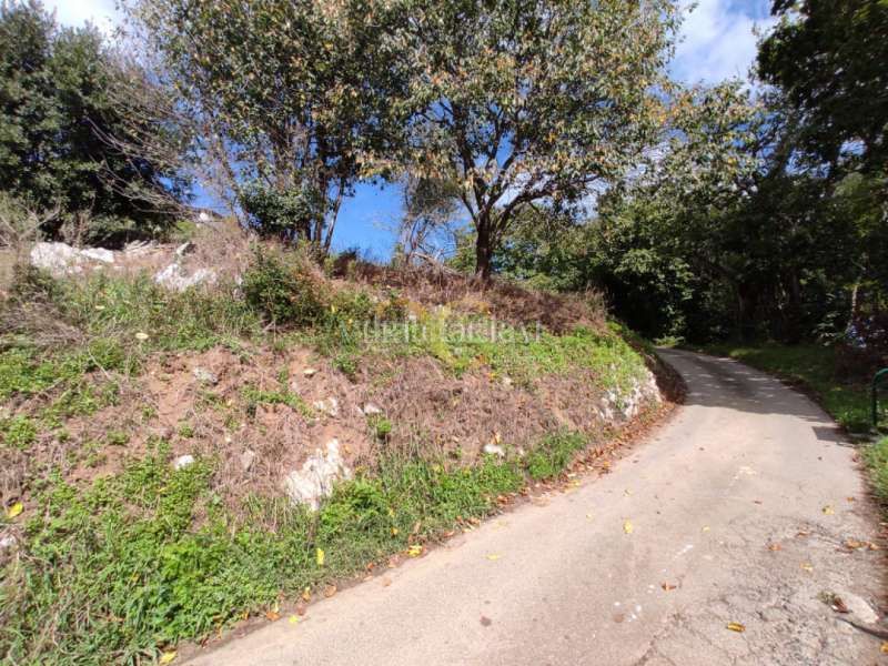 Foto 69f67af4-a535-4b8b-bbe1-f7c600bb0723. Terreny residencial a Ribadesella