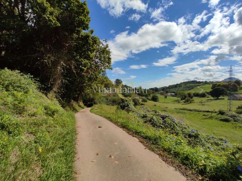 Foto ec4de171-209a-4851-ad93-4b141a8d00ce. Terreny residencial a Ribadesella