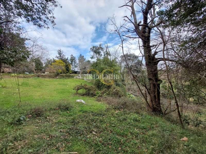 Foto b264b43a-3515-4990-8871-c0803a212aef. Residential plot in Pría-Nueva-Hontoria-Naves Llanes