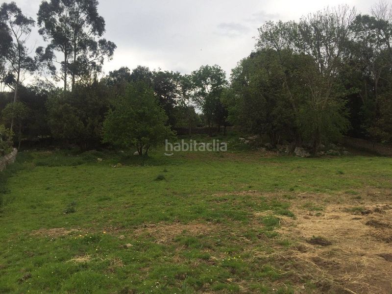Foto 1f941675-0314-43b0-8c63-cdda15c94cda. Terreno residencial gran finca edificable en bricia. en Llanes