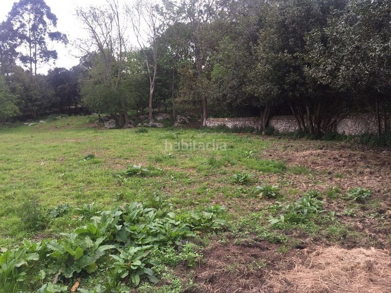 Foto 728dc170-1854-4a3d-862a-2bf49697e1c6. Terreno residencial gran finca edificable en bricia. en Llanes