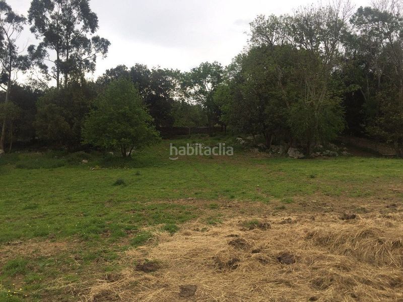 Foto 9766f160-9505-4053-88c9-7018b8d96c9c. Terreno residencial gran finca edificable en bricia. en Llanes