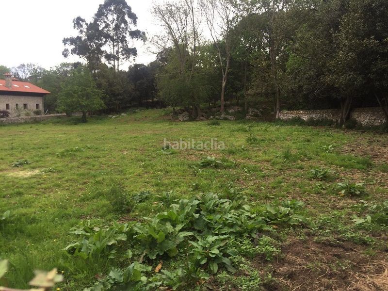 Foto e4ebaecc-f9a8-46d7-beb2-8ce2220933ee. Terreno residencial gran finca edificable en bricia. en Llanes