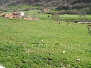 Terreno residencial  La borbolla. Finca edificable en la borbolla