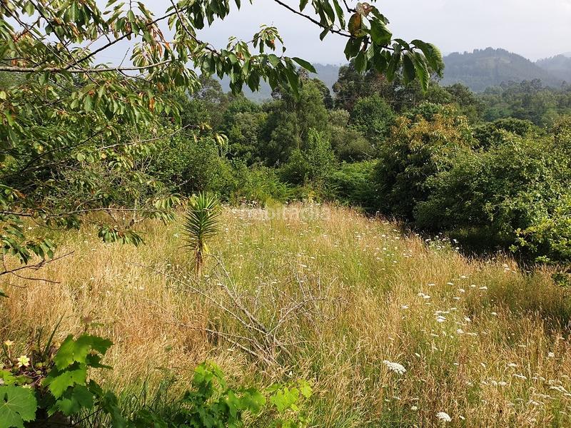 Foto 63074989-10cd-459e-8dab-a733bc0e55a7. Wohngrundstück in Pría-Nueva-Hontoria-Naves Llanes