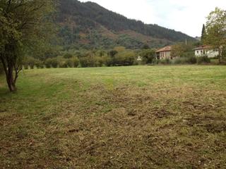 Terreny residencial  La granda. Finca llana y soleada próxima a cangas de onís.