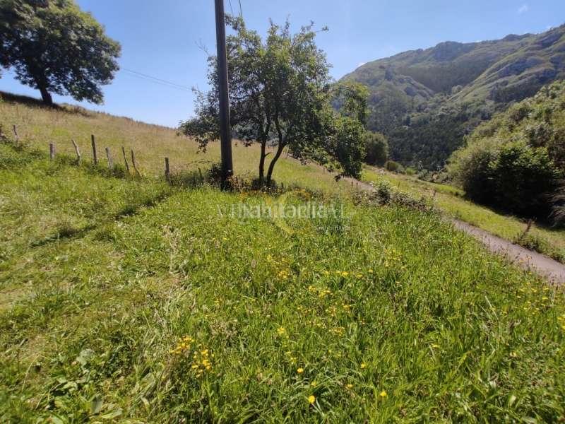 Foto 606927e3-2c2c-4086-9c78-4303b83f5703. Residential plot in Ribadesella