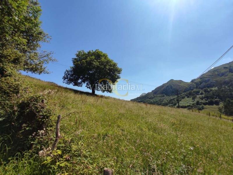 Foto 8b9c5055-7d4e-4339-92e5-39743bfbaf64. Residential plot in Ribadesella