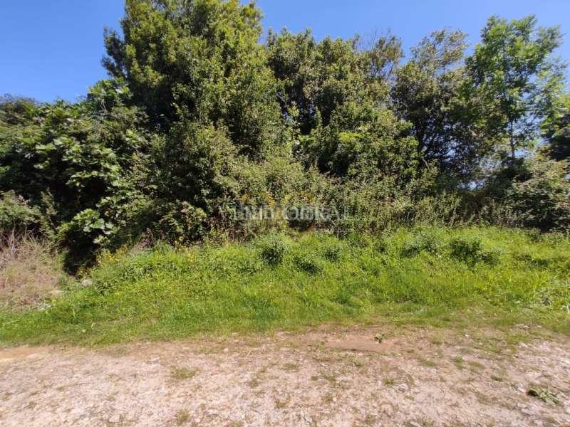 Foto d1b439f1-8435-43aa-b98e-c4ce8fa97d47. Residential plot in Ribadesella