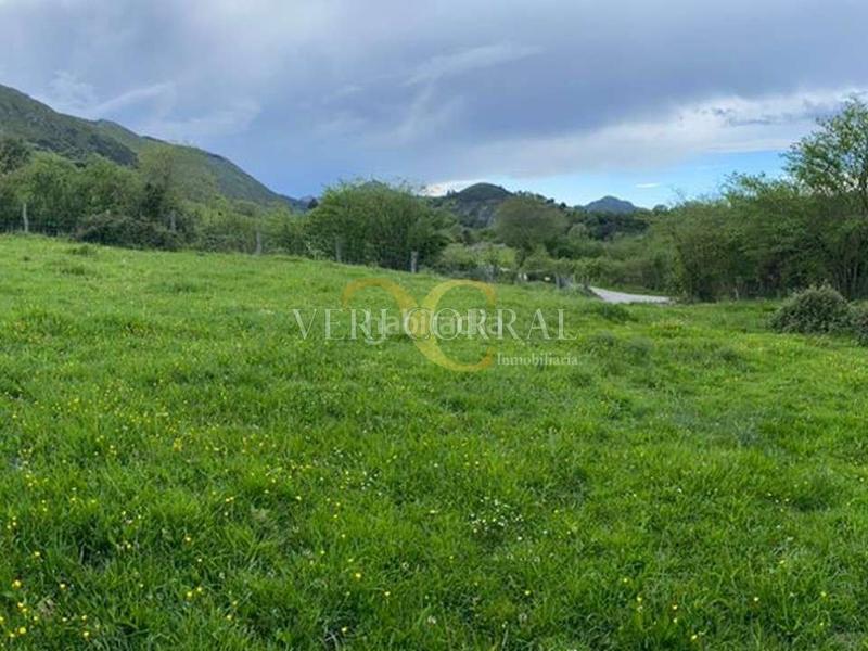 Foto 405c019e-aadd-47d1-a3a8-7def1e14128b. Fondo rustico in Pría-Nueva-Hontoria-Naves Llanes