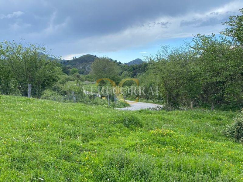 Foto 7722bd45-b076-4cbf-bfcc-dedf83b78d2e. Fondo rustico in Pría-Nueva-Hontoria-Naves Llanes