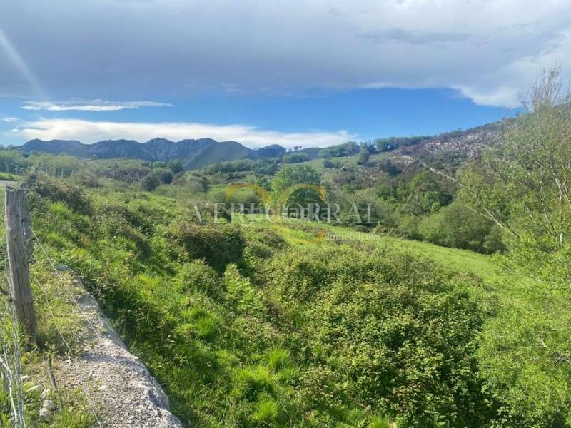 Foto ffa8e9e9-14b0-43df-872f-5785e0a76e38. Fondo rustico in Pría-Nueva-Hontoria-Naves Llanes