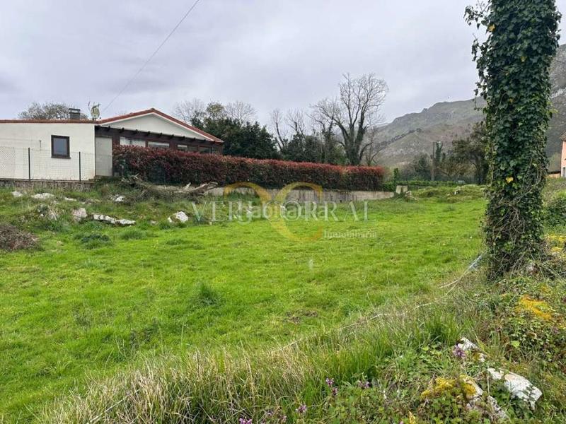 Foto a05581ec-c0f4-4b91-b535-95a4088ec823. Terreny residencial a Llanes pueblo Llanes
