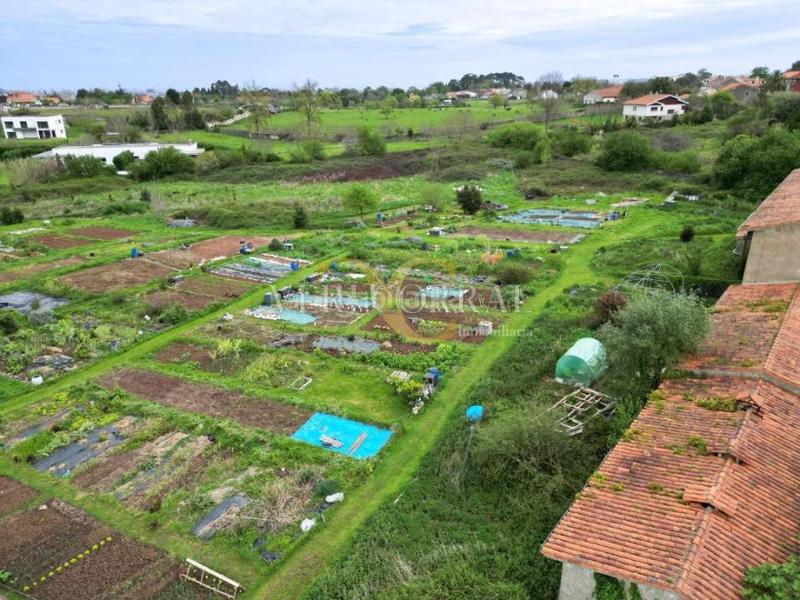 Foto 6f5ab905-7a9f-42a3-933e-a3a5c2e71c64. Wohngrundstück in La Pedrera Gijón