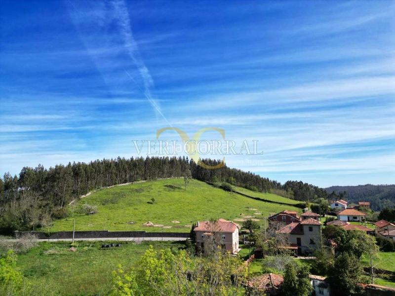 Foto ff51cfb9-eae8-4b44-9bd6-47b839da3c66. Residential plot in Soto del Barco