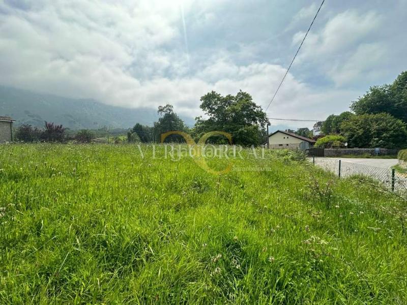 Foto 6676e30a-3009-494c-9c4e-aa0fa7d6a481. Wohngrundstück in Celorio-Poó-Parres Llanes