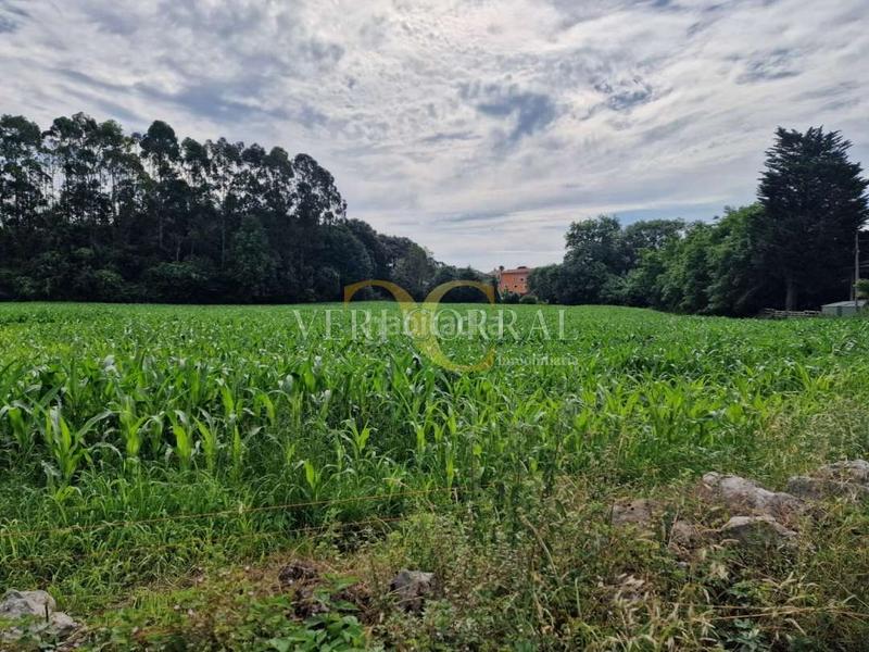 Foto 29a31971-7800-4d20-9ac8-0c3aee9d3d4b. Terreno residencial gran parcela con dos partes edificables en el núcleo rural de lledías. en Llanes