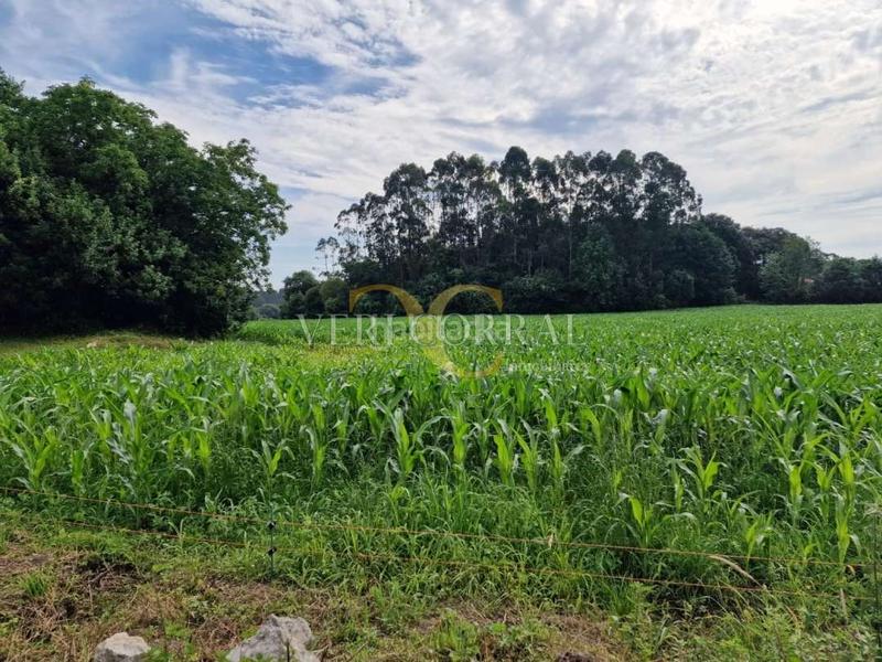 Foto 9e5a3074-3eef-4335-80ab-f8b8daeb87ef. Terreno residencial gran parcela con dos partes edificables en el núcleo rural de lledías. en Llanes