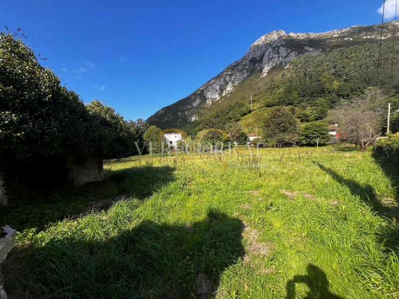 Foto ca15eb50-d1c1-4836-8892-ba8bf5f4e313. Residential plot in Ribadesella