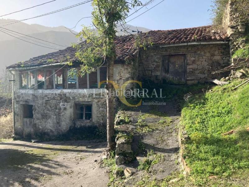 Foto 03af9ae0-c660-49bf-bded-fb175765c5ec. Maison dans Peñamellera Alta