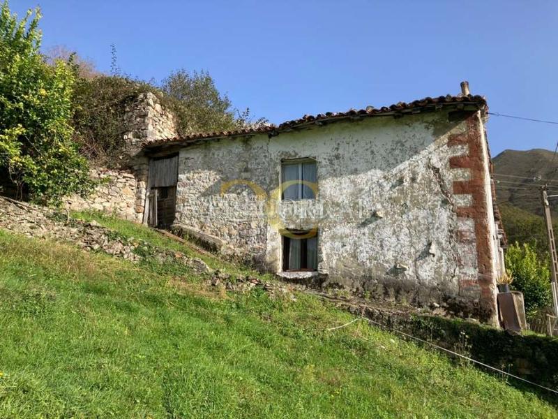 Foto 8758bc43-094d-4d71-8dcd-0c8ea3205469. Maison dans Peñamellera Alta