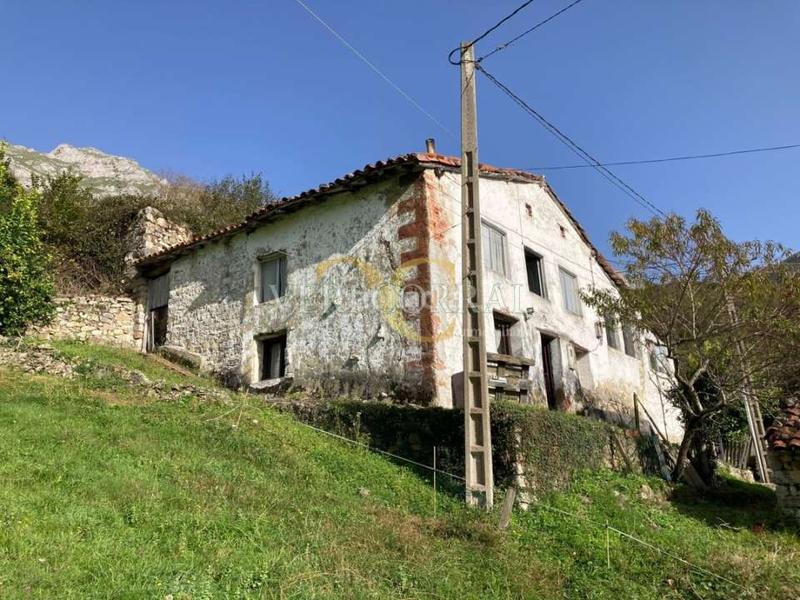 Foto adbe981a-c1bb-473f-8415-aa083a1c4c73. Maison dans Peñamellera Alta