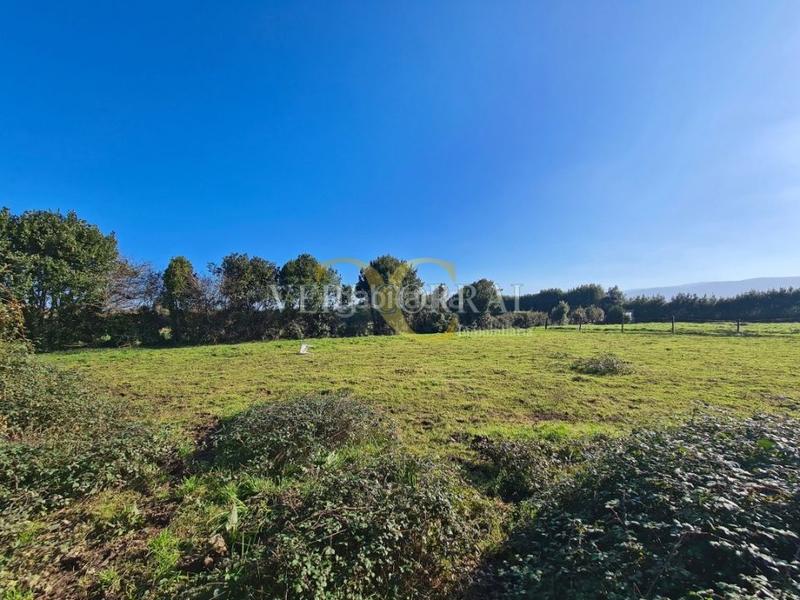 Foto 047f71bf-0b64-4cf9-bd41-0d9c42620ffb. Fondo rustico in Somió Gijón