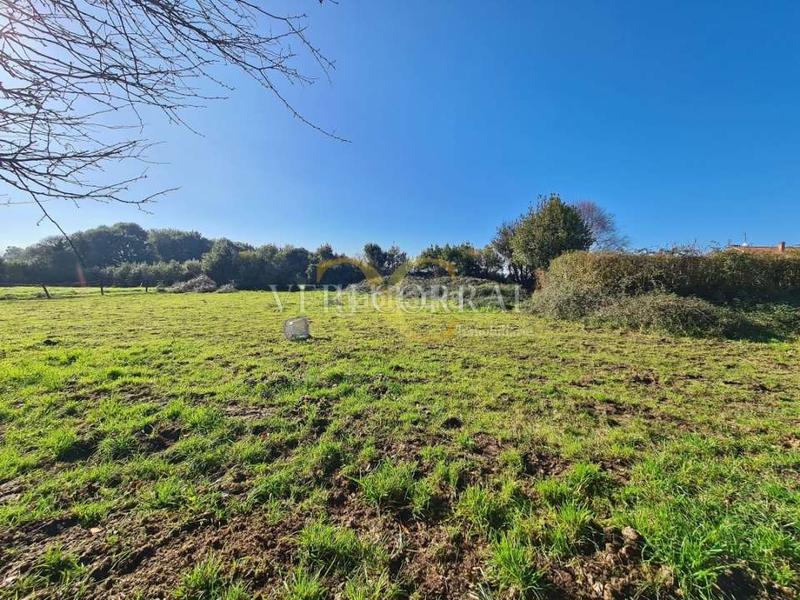 Foto 09bf7009-8ccd-4353-8dd4-671dba79ce1d. Fondo rustico in Somió Gijón