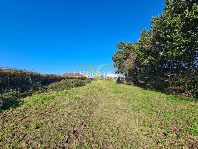 Foto 1fe104ca-2ba5-499f-8f08-ea9d283de159. Fondo rustico in Somió Gijón