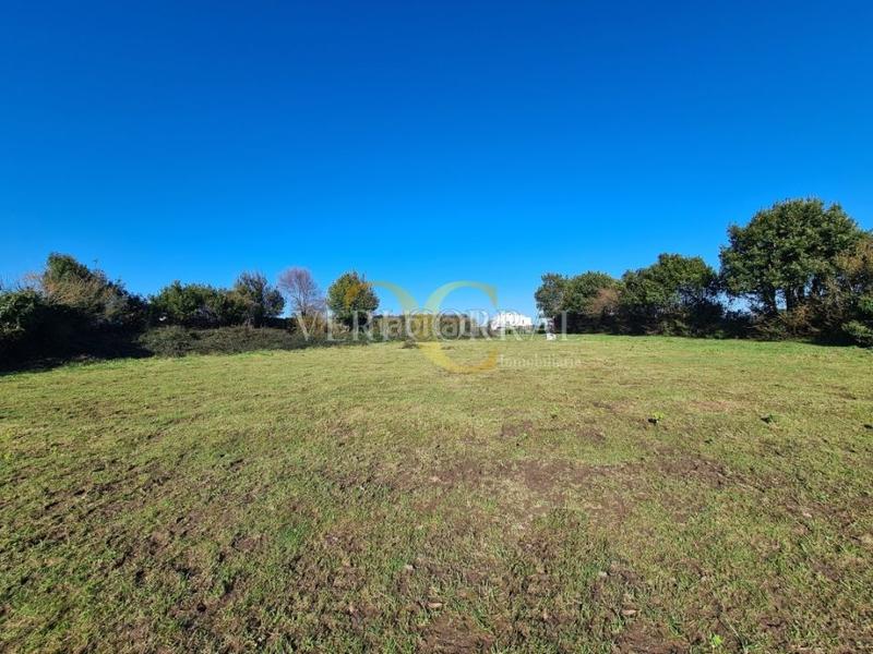 Foto 39ec0ecb-b668-4796-9aeb-e76682640a9c. Fondo rustico in Somió Gijón