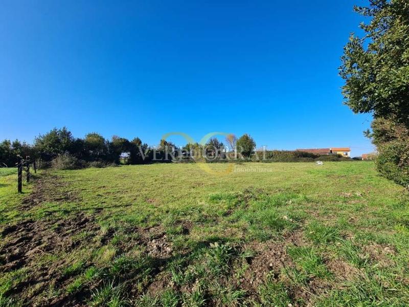 Foto 5f9ba2d7-327f-44e3-bb6e-6c1445573063. Fondo rustico in Somió Gijón