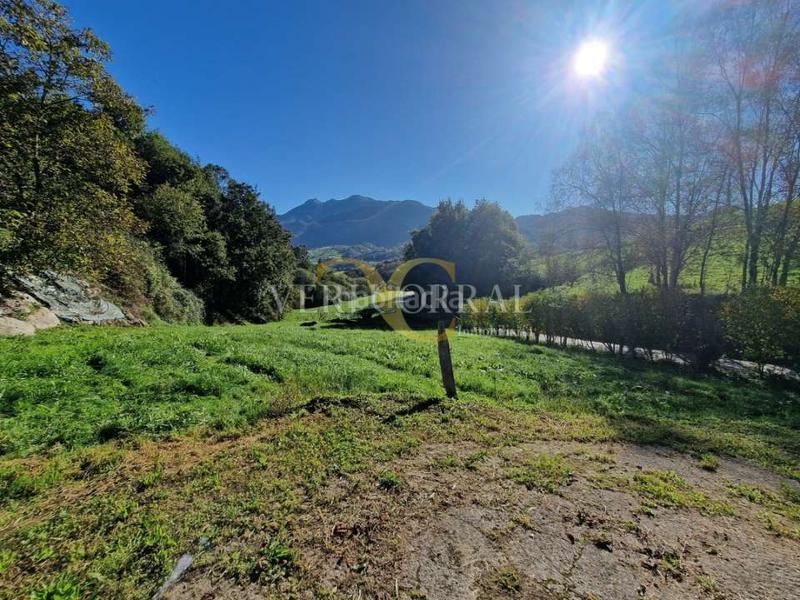 Foto b23e7830-2cf5-4c8b-85a8-31fa9b463ed1. Haus in Vibaña-Ardisana-Caldueño Llanes