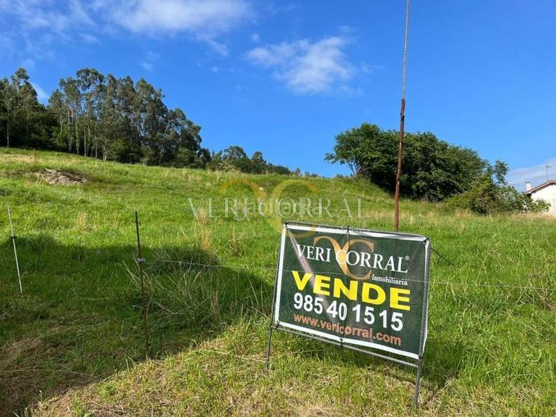 Foto 72887af6-1ab6-4c6d-bc64-430244fbcdcc. Terreno residenziale in Vidiago-Pendueles-Tresgrandras Llanes