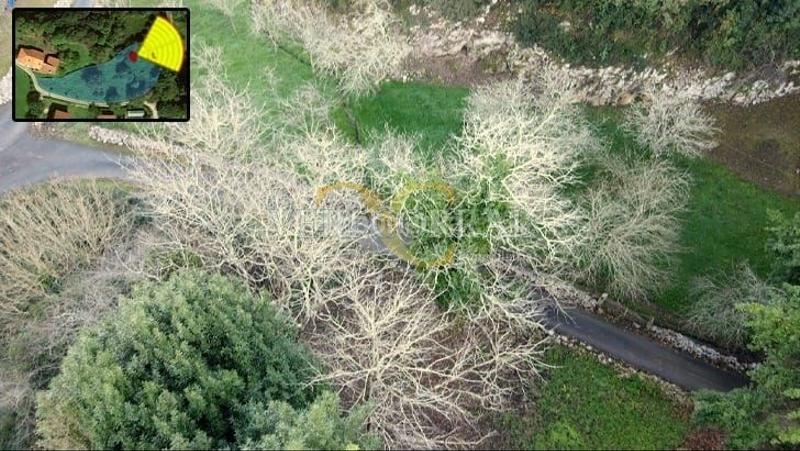 Foto 4b5dc940-6a4b-4701-b02b-851ea656258c. Terreny residencial a El Viso Madrid