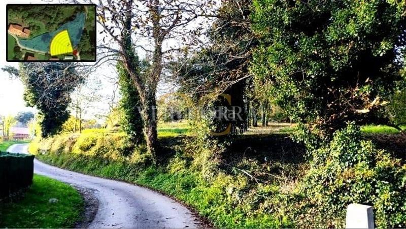 Foto c047ec15-ab13-4fda-ab91-8351290a0c89. Terreny residencial a El Viso Madrid