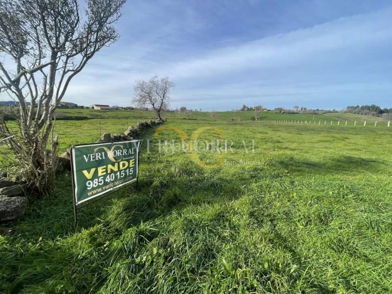 Foto bc3b577c-fc67-4032-9f07-e45074f5889c. Terreno residenziale in Tazones - Argüero Villaviciosa