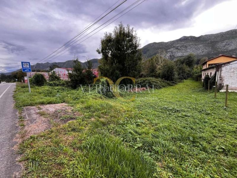 Foto d02db7e0-68a9-4fe4-8060-c3a600e2973f. Terreny residencial a Ribadesella