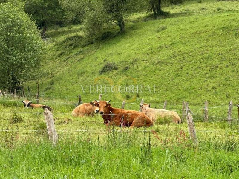 Foto 2e3d7ba4-2eae-4b66-aa06-a846c06c102f. Residential plot in Vibaña-Ardisana-Caldueño Llanes