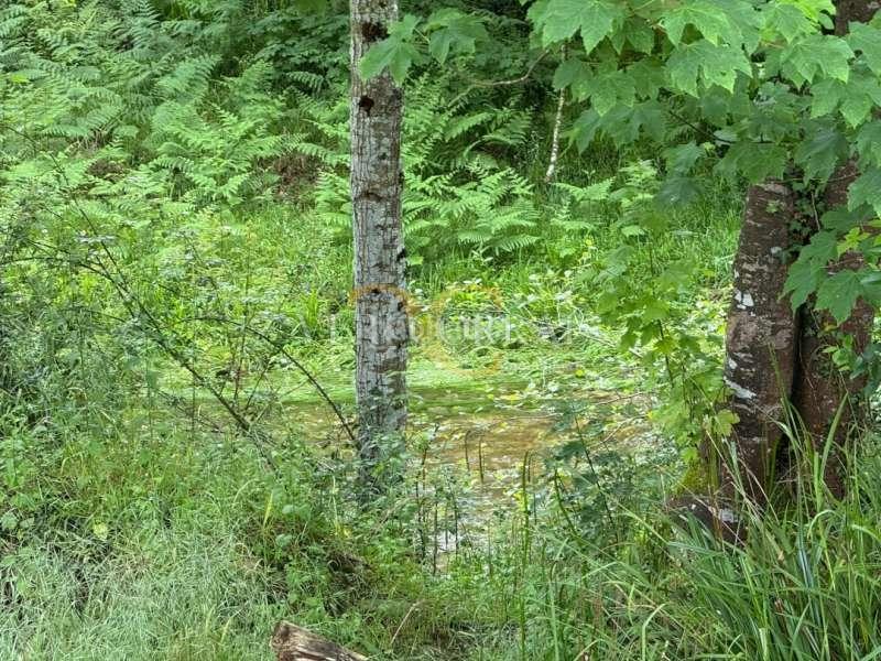 Foto 4d198f60-ce5e-4880-a6df-3653e3b6a536. Residential plot in Vibaña-Ardisana-Caldueño Llanes