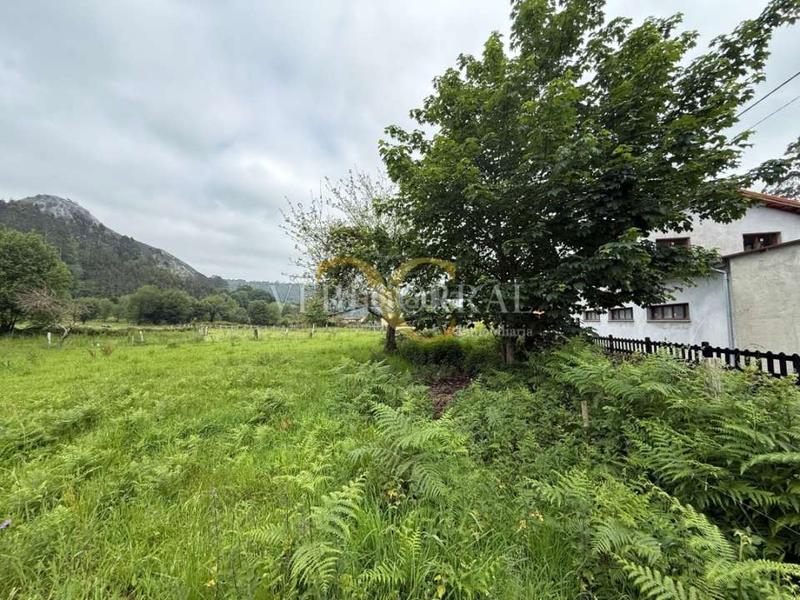 Foto a11e881f-6cd2-4cfe-acee-bda60e649f64. Residential plot in Vibaña-Ardisana-Caldueño Llanes