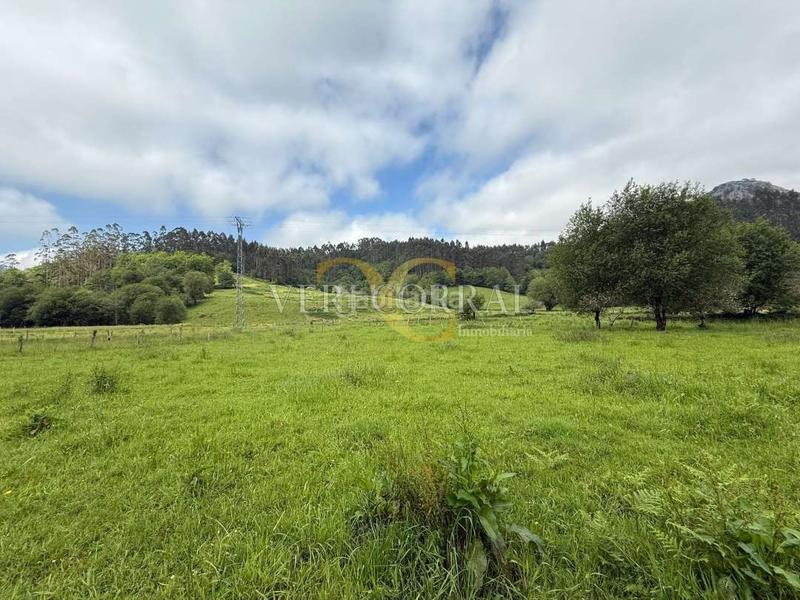 Foto c8bb3326-0305-4e72-9241-cad98cc4cacd. Residential plot in Vibaña-Ardisana-Caldueño Llanes