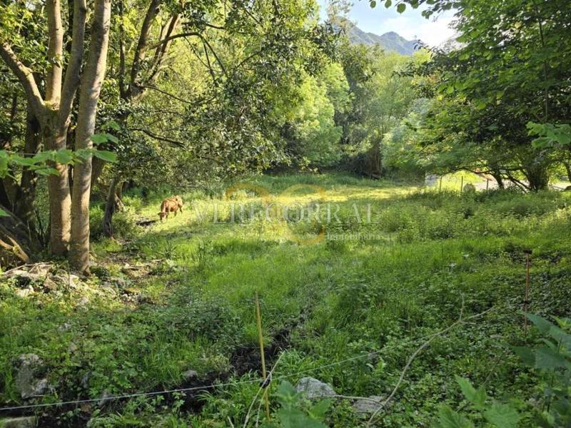 Foto 139bcc5c-759d-413a-8c82-948ecec88b02. Wohngrundstück in Pría-Nueva-Hontoria-Naves Llanes