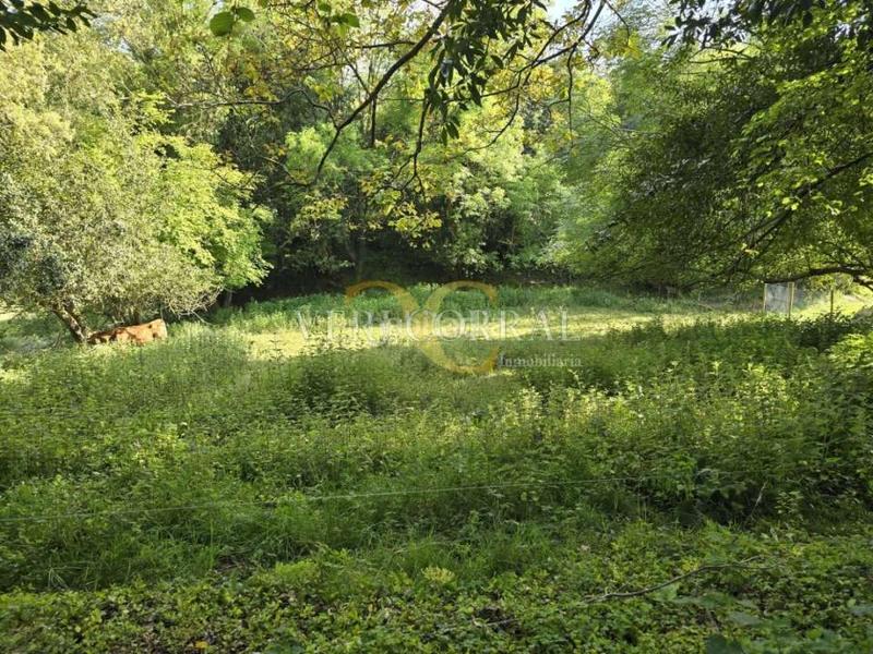 Foto 28e4635e-989f-4da7-bcf4-370db6c04798. Wohngrundstück in Pría-Nueva-Hontoria-Naves Llanes