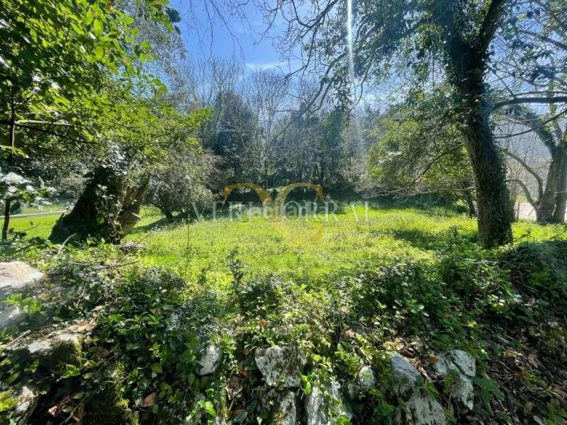 Foto 70d80263-b167-46fe-b5a6-c572d8feea95. Wohngrundstück in Pría-Nueva-Hontoria-Naves Llanes