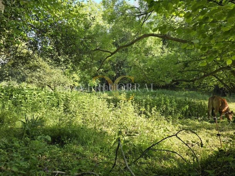 Foto 92a2e11a-890f-47ff-8b3a-a4eed17e01c8. Wohngrundstück in Pría-Nueva-Hontoria-Naves Llanes