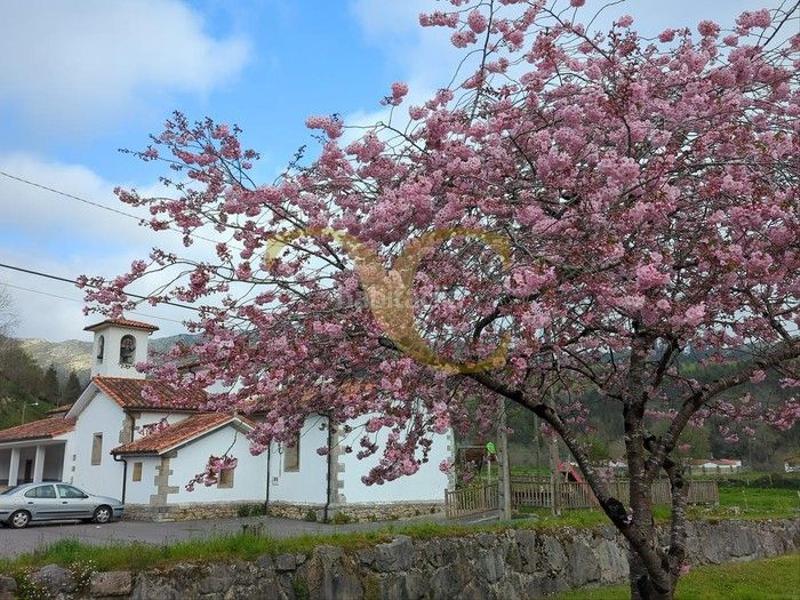 Foto bcd8e11e-b88a-4ec0-bad0-a25dde0262d6. House in Vibaña-Ardisana-Caldueño Llanes