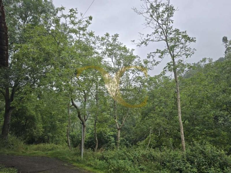 Foto c1161b9c-c79b-4e06-8779-6057ef08ab72. House in Vibaña-Ardisana-Caldueño Llanes