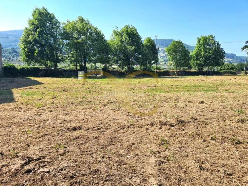 Foto 0d429331-239e-46e8-8c2a-f3bb43b1046c. Terreny residencial a Villaviciosa - amandi Villaviciosa