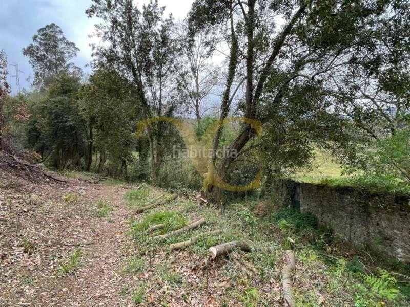 Foto 666d5e12-4d22-4af9-9ed5-f2966100c53a. Terreno residenziale in Selorio - Tornón Villaviciosa