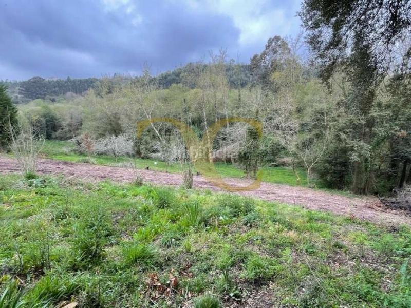 Foto 6bf2c047-5771-424a-99ba-2b598328d2f7. Terreno residenziale in Selorio - Tornón Villaviciosa